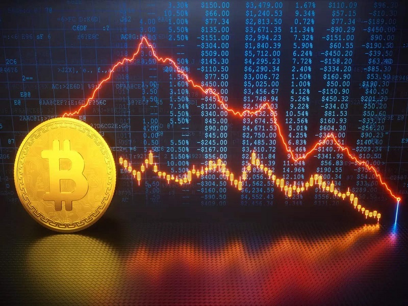 crypto investing earnings guide